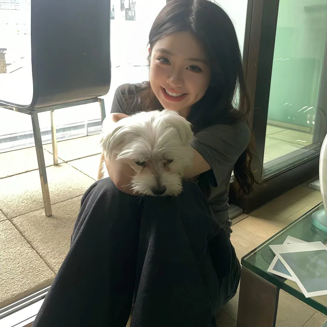 疯狂的狐狸